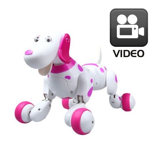 RC Robo pes robotický chytrý pes smart robo dog, pudl růžovo-bílý 2,4Ghz